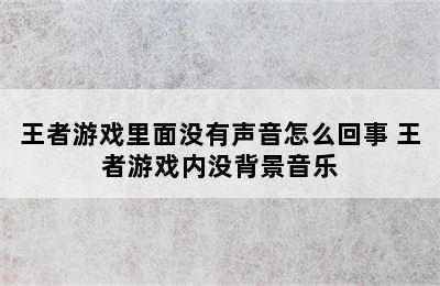 王者游戏里面没有声音怎么回事 王者游戏内没背景音乐